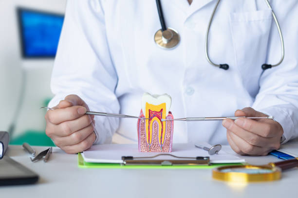 Best Pediatric Emergency Dentist in Stanton, TX